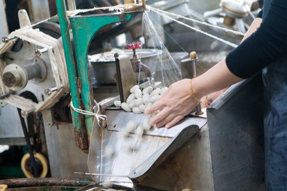 利达丰环球控股公司成立有机丝绸公司 致力于可持续发展和社会责任，提供高品质产品