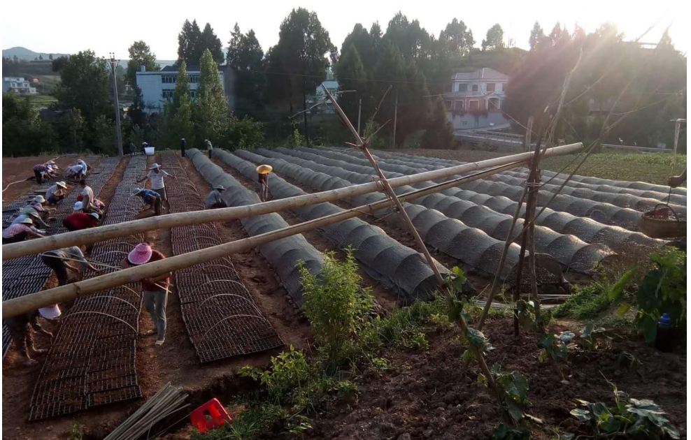 布碧丝：注重环保意识之真丝织品 为高端产品重塑形象