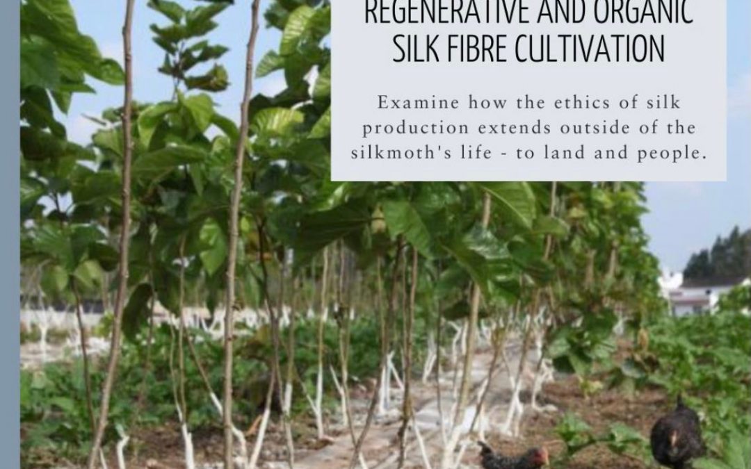 < Masterclass > – The sustainable Fashion Collective